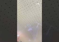 Enlace a Drones volviendo a sus plataformas después de un espectáculo