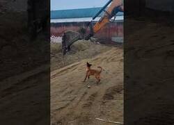 Enlace a Este perro se lo pasa en grande con una excavadora