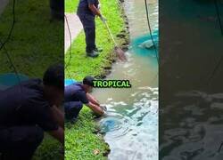 Enlace a No te fíes de lo azul que se ven las aguas de los resorts