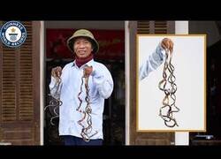 Enlace a El hombre con las uñas más largas del mundo