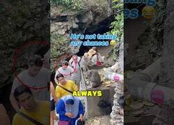 Enlace a Mono roba unas gafas y se enfada cuando se las vuelven a quitar