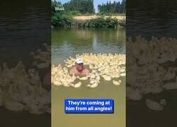 Enlace a Este hombre se dio un baño de patos