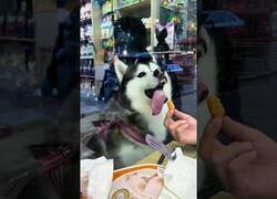 Enlace a Tan cerca y a la vez tan lejos...