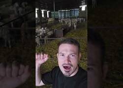 Enlace a Cuando las ovejas te hacen los coros