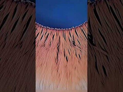 Haciendo zoom en el iris de un ojo humano