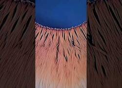 Enlace a Haciendo zoom en el iris de un ojo humano