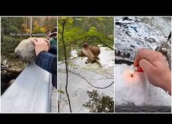 Enlace a Tan solo hombres hombreando