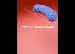 Enlace a Así de pequeño es un nanotransistor