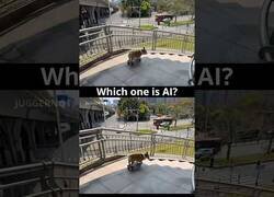 Enlace a ¿Sabrías diferenciar cuál es IA?