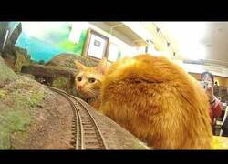 Enlace a ¿Te gustaría tomar este tren?