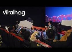 Enlace a Un cine para perros en China