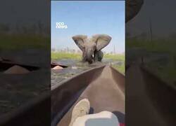 Enlace a Elefante persigue a turistas en canoa por el Delta del Okavango, en Sudáfrica
