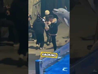 Una beluga le apaga el cigarro a un tipo que se puso a fumar en su acuario
