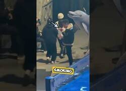 Enlace a Una beluga le apaga el cigarro a un tipo que se puso a fumar en su acuario