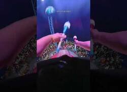 Enlace a Esto es lo que ve un trapecista de circo