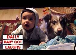 Enlace a Padres intentan que su bebé diga 'mamá' pero el perro se le adelanta
