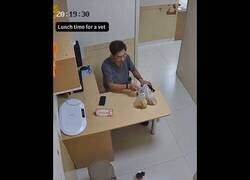 Enlace a Cuando eres veterinario y es la hora de comer