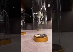 Enlace a Así es la nueva estación de metro del Coliseo Romano