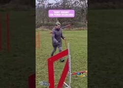 Enlace a Hobby Dogging: Paseando perros imaginarios