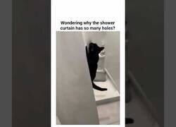 Enlace a ¿Por qué tienes las cortinas con agujeros?