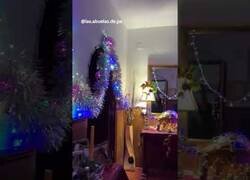 Enlace a Así es la decoración de la señora con más espíritu navideño de España