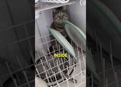 Enlace a ¿Por qué el lavavajillas no cierra?