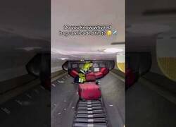 Enlace a Así trabaja el encargado de cargar maletas en el avión