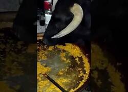 Enlace a Lo más ibérico, español y valenciano que verás hoy