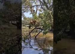 Enlace a This is the end...