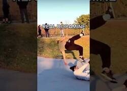 Enlace a La verdadera dopamina