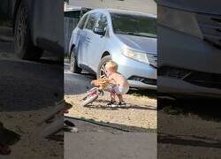 Enlace a Este niño sube a una gallina a su bicicleta