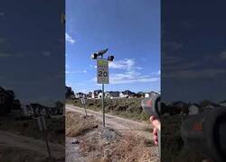 Enlace a Tirando comida a los coches que superan el límite de velocidad en zonas escolares