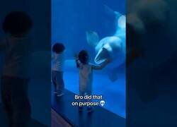 Enlace a Lo hizo a propósito...