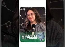 Enlace a El pez más infravalorado es el pez luna