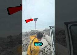 Enlace a Tirarle una piedra a un nido de avispas no es buena idea