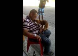 Enlace a Perro besa en la boca a un hombre dormido