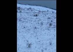 Enlace a Cuando empujas un roca colina abajo y esta llega demasiado lejos