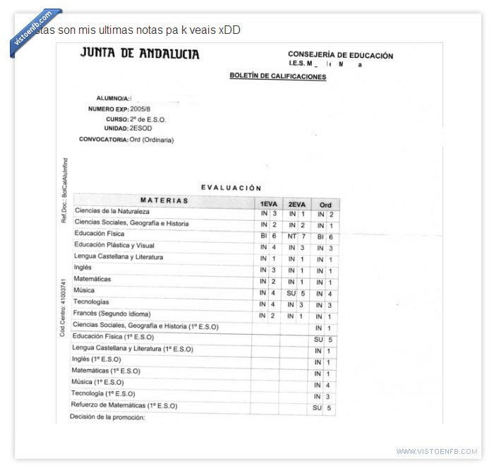 burro,tonto,payaso,notas,fracaso escolar,pardillo