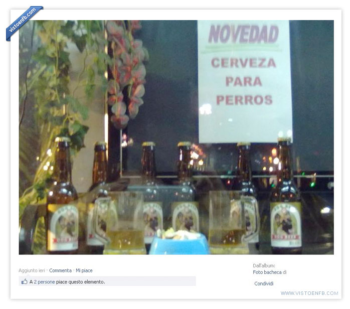 perros,cerveza,bebida