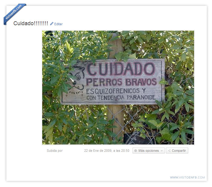 perros,peligrosos,bravos