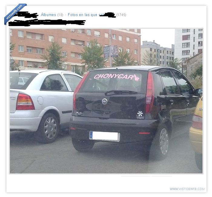 fiat,coche,cani,buga