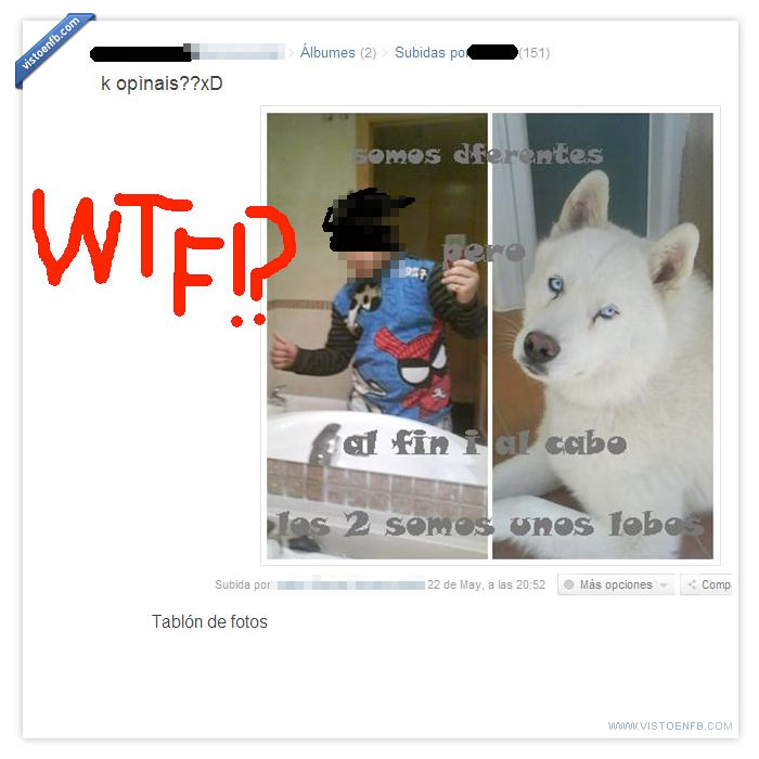 profundo,lobo,diferentes