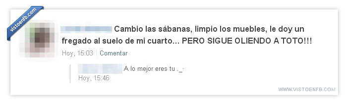 suelo,sábanas,muebles