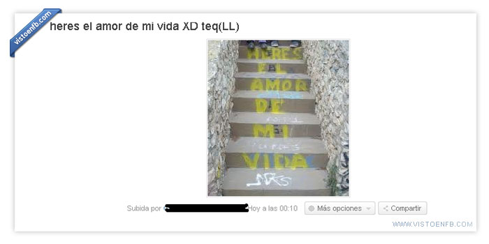 ortografía,cani,amor