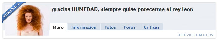 rey león,pelo,humedad
