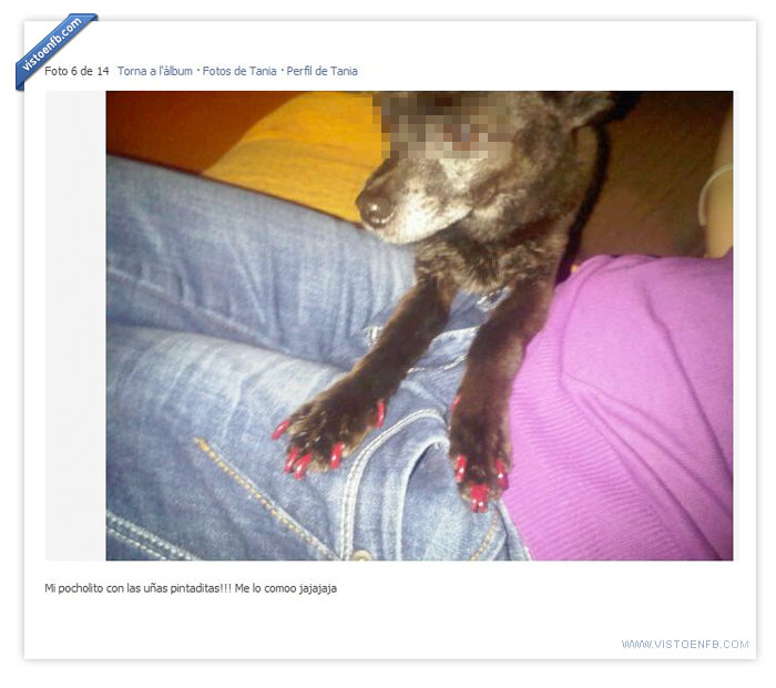 uñas,pobreperro,perro,esmalte