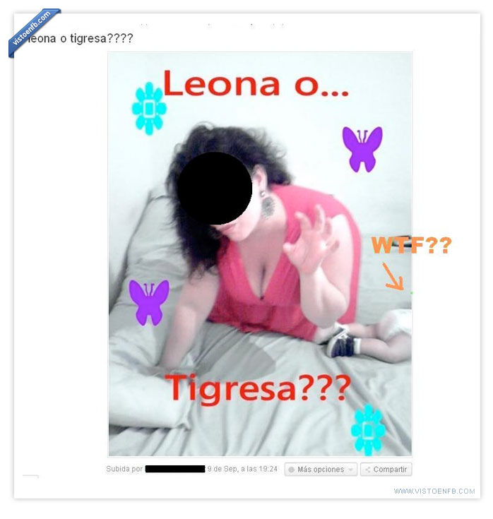 tigresa,leona,cani,bebe