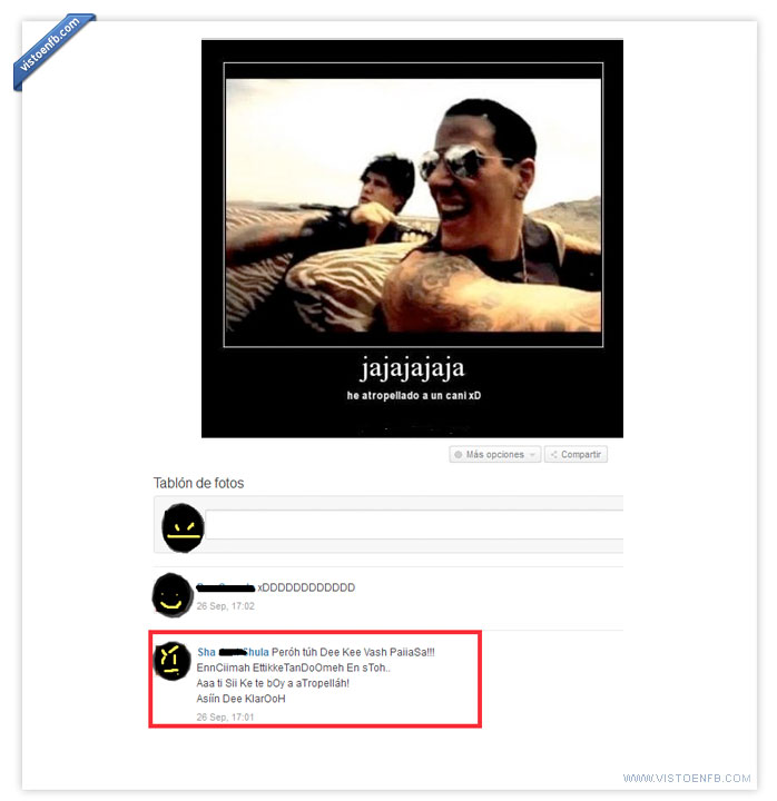 owned,fail,choni,cani