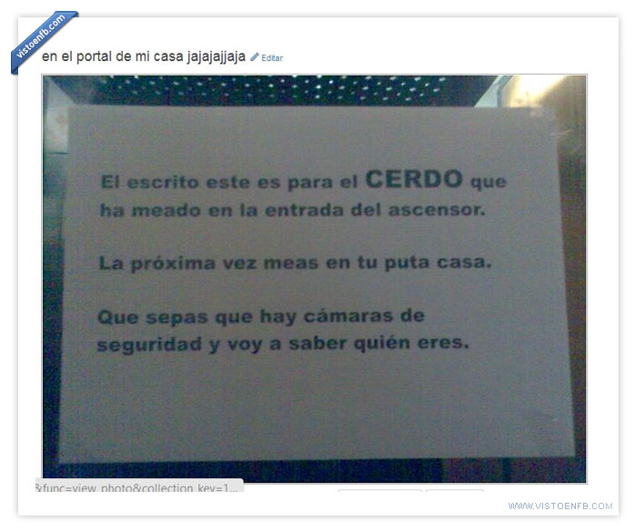 cerdo; ascensor; cámaras de seguridad