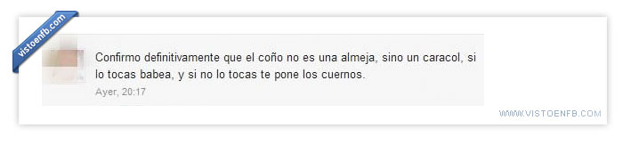 cuernos,caracol,babea,almeja